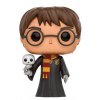 Funko POP! Harry Potter Triwizard with Hedwig Limited Edition