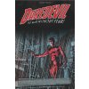 Daredevil by Ed Brubaker and Michael Lark Omnibus 2