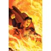 Superman: The Final Days of Superman (Rebirth)