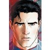 Superman: The Final Days of Superman (Rebirth)