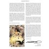 Manara Library 1: Indian Summer and Other Stories