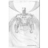 Batman Unwrapped Death Of The Family