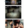 Attack on Titan: Before the Fall 02