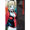 Harley Quinn 6: Black, White And Red All Over (Pevná väzba)