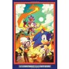 Sonic The Hedgehog 1: Fallout!