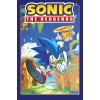 Sonic The Hedgehog 1: Fallout!