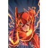 Flash: Starting Line (DC Essential Edition)