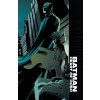 Batman: Heart of Hush