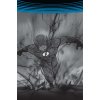 Flash 5: Negative (Rebirth)