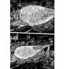 Gantz 23