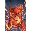 Flash 1: Move Forward (The New 52)