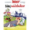 asterix vii suboj nacelnikov 9788025243732