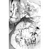 carciphona 4 9788090747685 2
