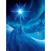 Frozen: The Poster Collection