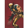 Wolverine: Enemy of the State