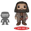 Funko POP! Harry Potter: Ruebus Hagrid 15 cm
