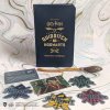 Harry Potter Quidditch at Hogwarts: The Player's Kit