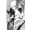Bleach 25: No Shaking Throne