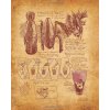 Necronomnomnom: Recipes and Rites from the Lore of H. P. Lovecraft