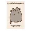 Som mačička Pusheen