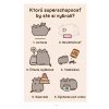 Som mačička Pusheen