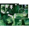 batman 11 the fall and the fallen 9781779501608 1