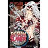demon slayer kimetsu no yaiba 22 9781974723416