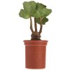 harry potter screaming mandrake with sound miniature editions 9780762474776 1