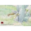 nausicaa of the valley of the wind box set 9781421550640 5