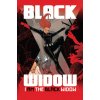 black widow by kelly thompson 2 i am the black widow 9781302930134 2