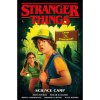 stranger things science camp 9781506715766