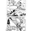 bleach 29 the slashing opera 9788076791138 2