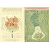 on tyranny graphic edition twenty lessons from the twentieth century 9781984860392 2