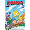 simpsonovi 11 2022 9786660076111