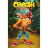 crash bandicoot classic crash poster 3665361061571