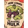 hulk grand design 9781302927646 2