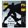batman chronicles of the dark knight 9780762493210