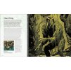 marvel monsters creatures of the marvel universe explored 9780241469385 2