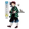 art of demon slayer kimetsu no yaiba 9781974734108