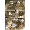 monstress book two pevna vazba 9781534323148 3