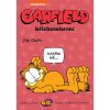 garfield 60 garfield brichomluvec 9788076794023