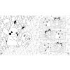 pokemon colouring 9780008537357 3