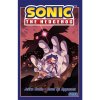sonic the hedgehog jezko sonic 2 osud dr eggmana 9788025255971 1