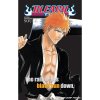 bleach masked official character book 1 9781421520537