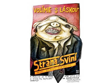 strana svini2