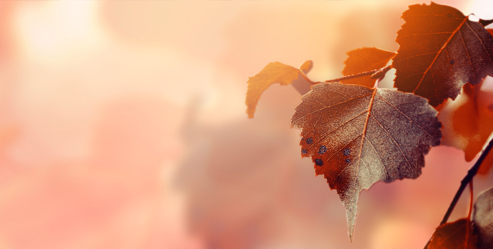 Hurá! Vítej podzime aneb Jak si užít babí léto