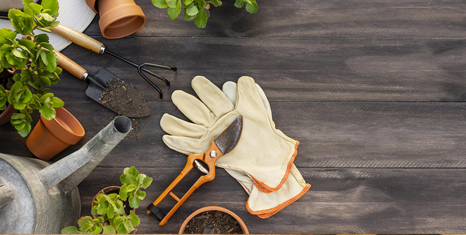 Jak si užít příchod jara