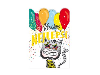 Přání k narozeninám Kočka s balónky