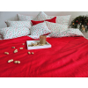 francouzské vánoční povlečení