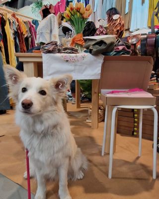 Veletrhy i trhy pro nás nejsou jen o produktech. Jsou hlavně o setkáních, úsměvech a těchto krásných maličkostech 💛...